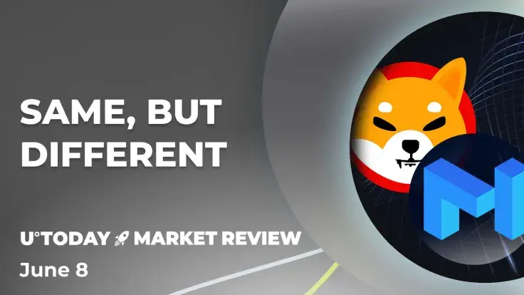Polygon (MATIC) and Shiba Inu (SHIB) Show Suspiciously Similar Patterns