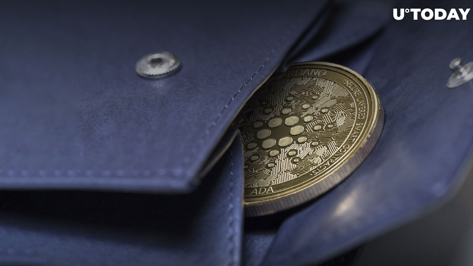 Cardano's Lace Wallet Takes Its Codes Public, Is This Right Move?