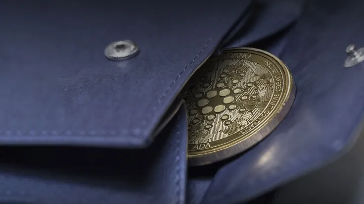 Cardano's Lace Wallet Takes Its Codes Public, Is This Right Move?