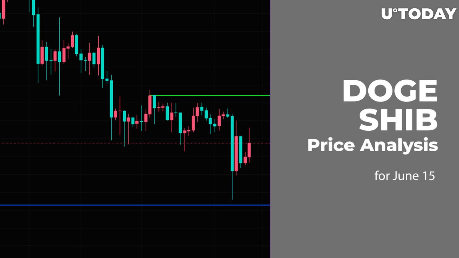 DOGE and SHIB Price Analysis for June 15
