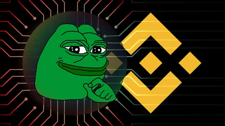 Binance Delists PEPE as Borrowable Asset: Details