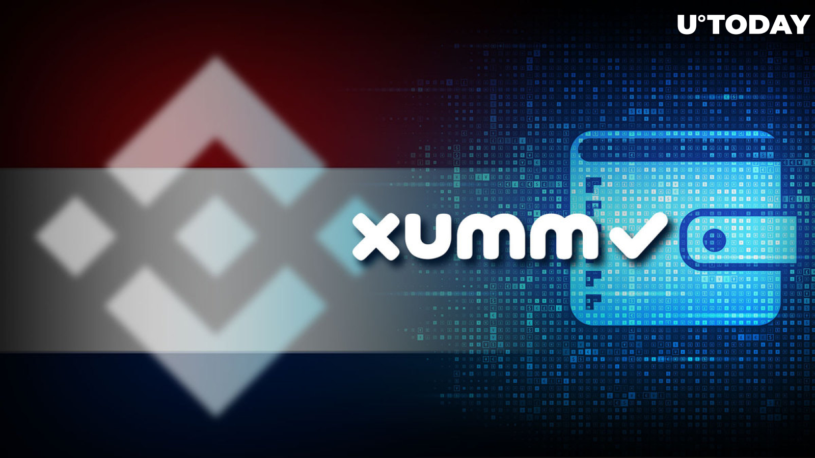 'Binance Can't/Won't Comply With Rules' in Netherlands: XPRL-Based XUMM Wallet Developer