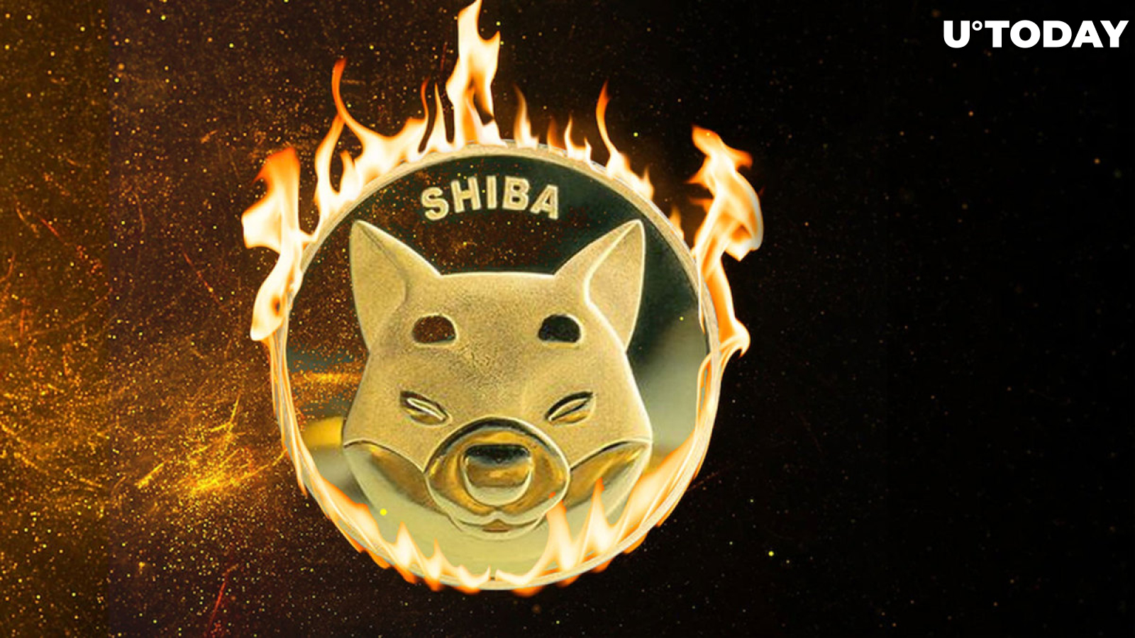 Shiba Inu (SHIB) Burn Rate up 810%, Price Jump Follows
