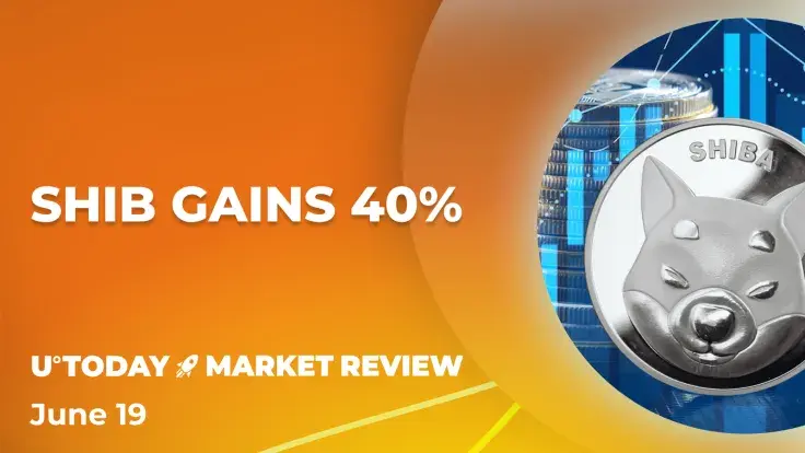 Shiba Inu (SHIB) Already Recovered 37%, What's Next?