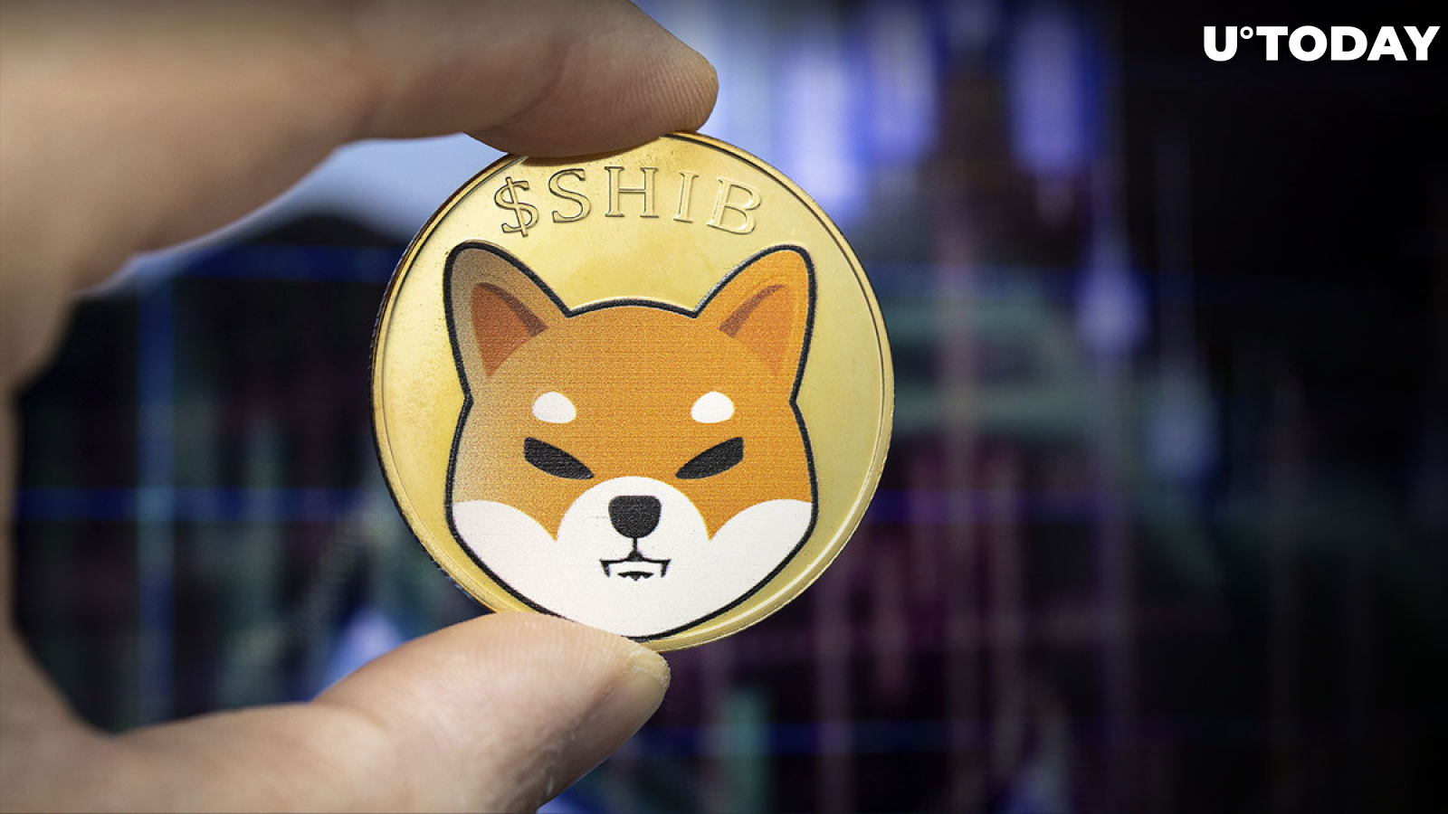 28 Billion SHIB Shifted to Top Exchanges After SHIB's Recent Price Move