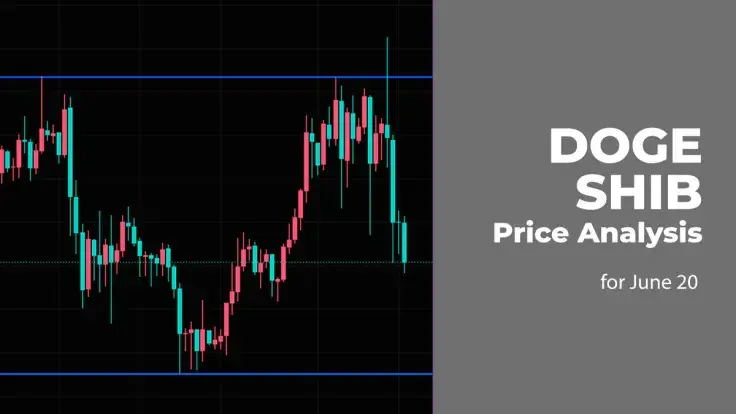 DOGE and SHIB Price Analysis for June 20