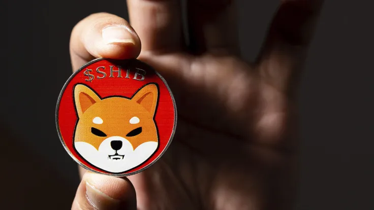 Shiba Inu (SHIB) up 9%, Market Sentiment Payoff?