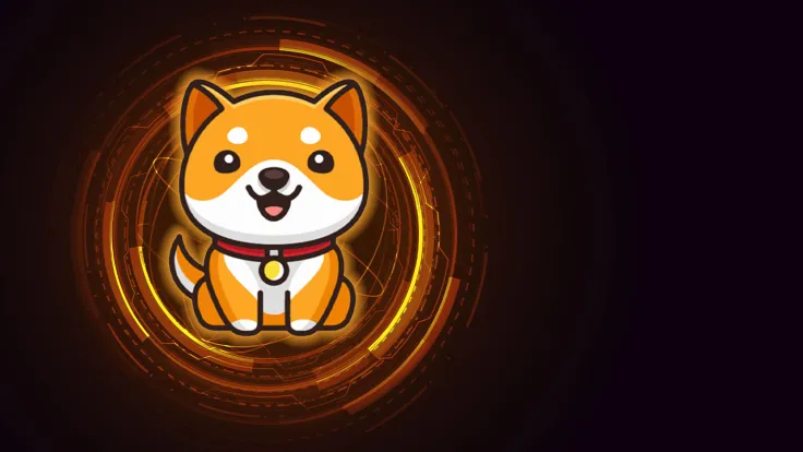 BabyDoge Suffers Major Exploit