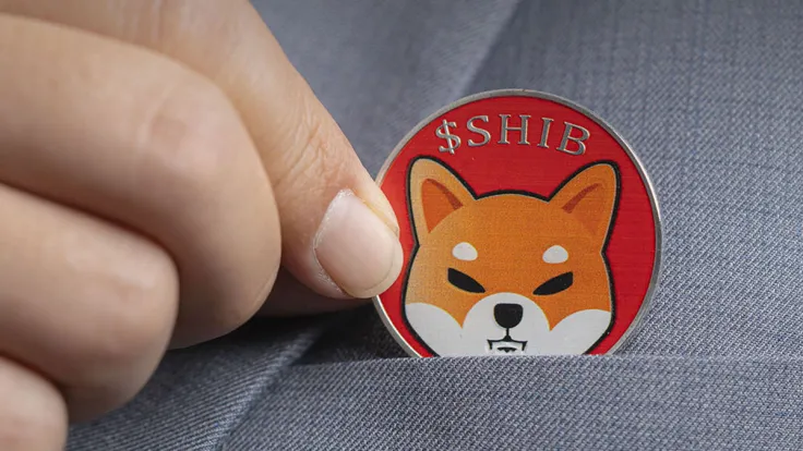 Shiba Inu (SHIB) Lead Issues Important Warning to Community