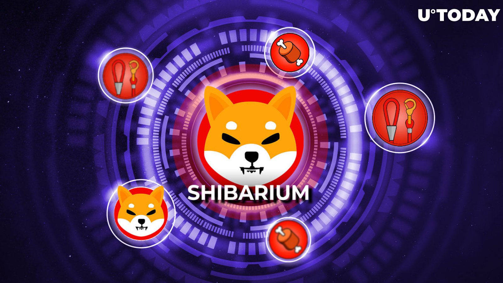 Shibarium to Go Way Beyond SHIB, LEASH and BONE: SHIB Team Marketing Expert