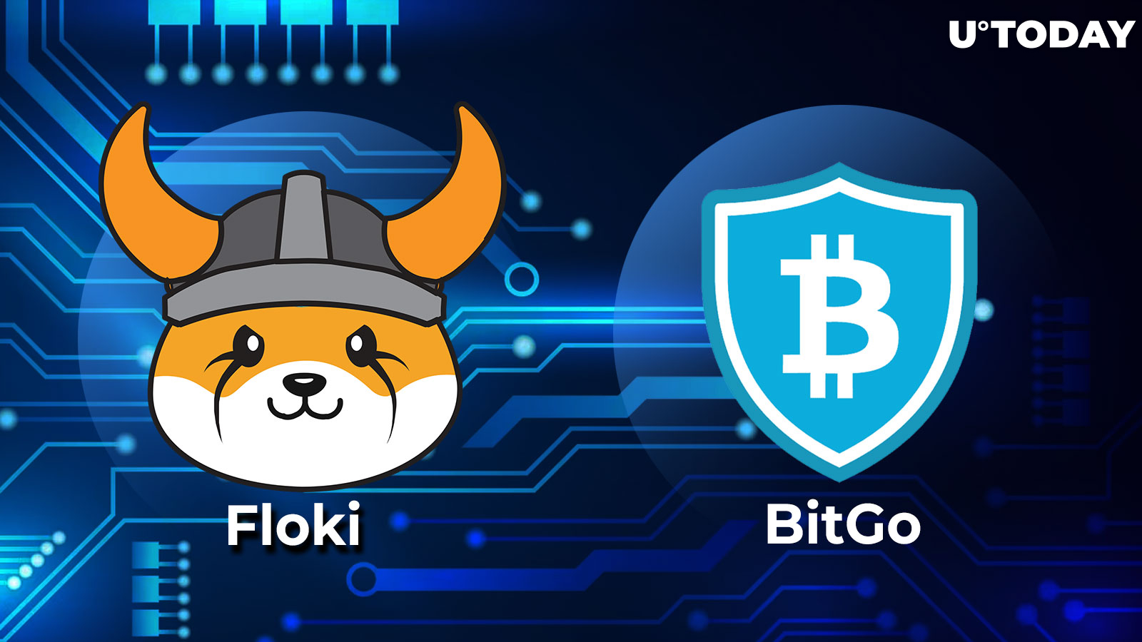 Shiba Inu Rival Floki Partners With Major Crypto Custodian BitGo