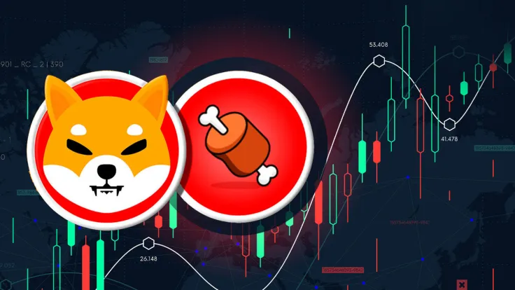 Shibarium Popular Token BONE Soars 42%, Here's What Is Happening