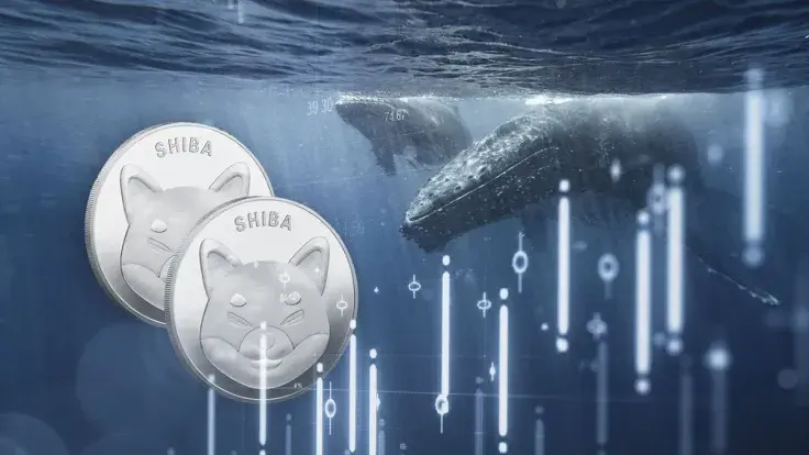 Shiba Inu (SHIB) Whales on Move as Transaction Volume Spikes 361%