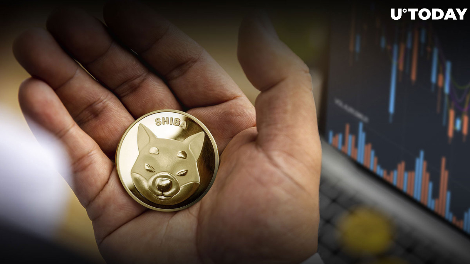 Bankrupt Shiba Inu Trillionnaire Gets Back Billions of SHIB, But There's a Catch