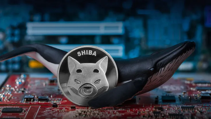 Shiba Inu (SHIB) Whales on Major Move as Transactions Jump 383%