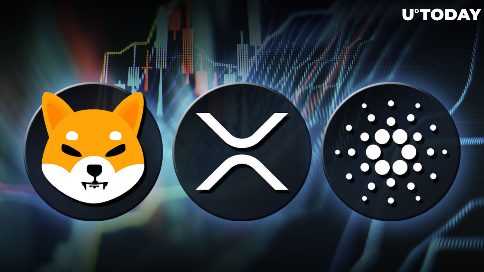 How SHIB, XRP, ADA Might Benefit as Glassnode CEO Predicts Market Rotation