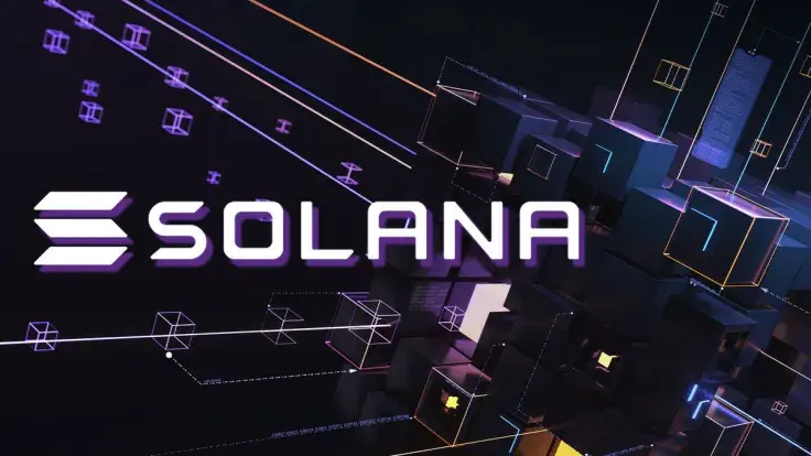 Solana Q2 Performance, Here's Role Played by Its First Meme Coin
