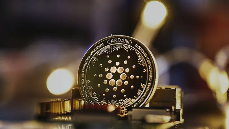 Cardano Transactions Cross Big Milestone: Details