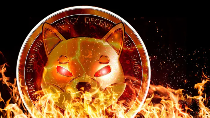 Shiba Inu Burn Rate up 6,546%, What Will Impact Be on Price?