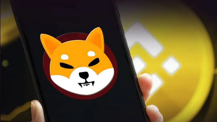 Tens of Billions of SHIB Sent to and From Binance as Shiba Inu Price Drops Overnight
