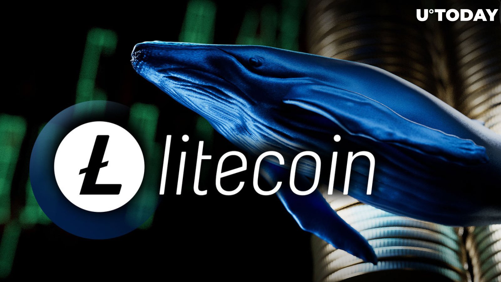 Massive Litecoin (LTC) Buy-up by Whales Ongoing, Halving Sentiment at Play?