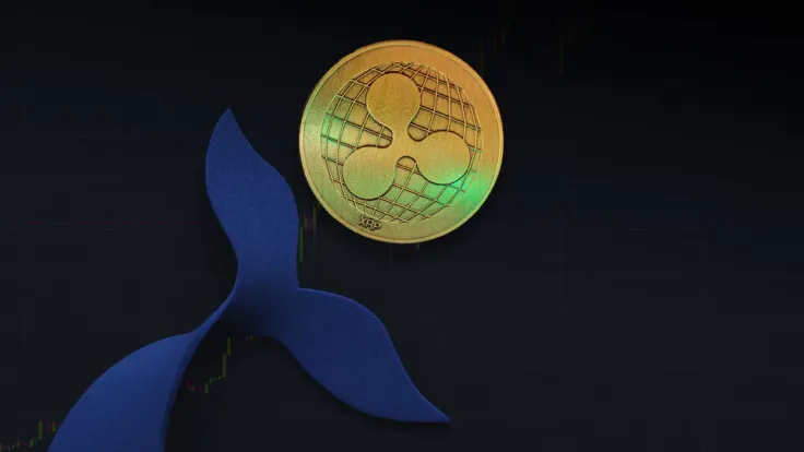 Massive XRP Whale Withdrawal Observed, Sell-off Incoming?