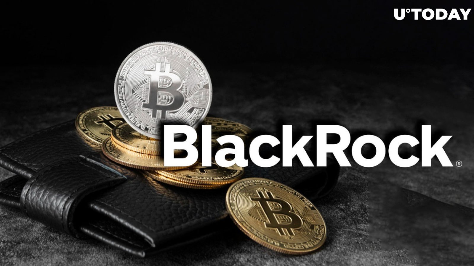 BlackRock Names Optimal Bitcoin Share in Investor's Risk Portfolio – You'll Be Surprised