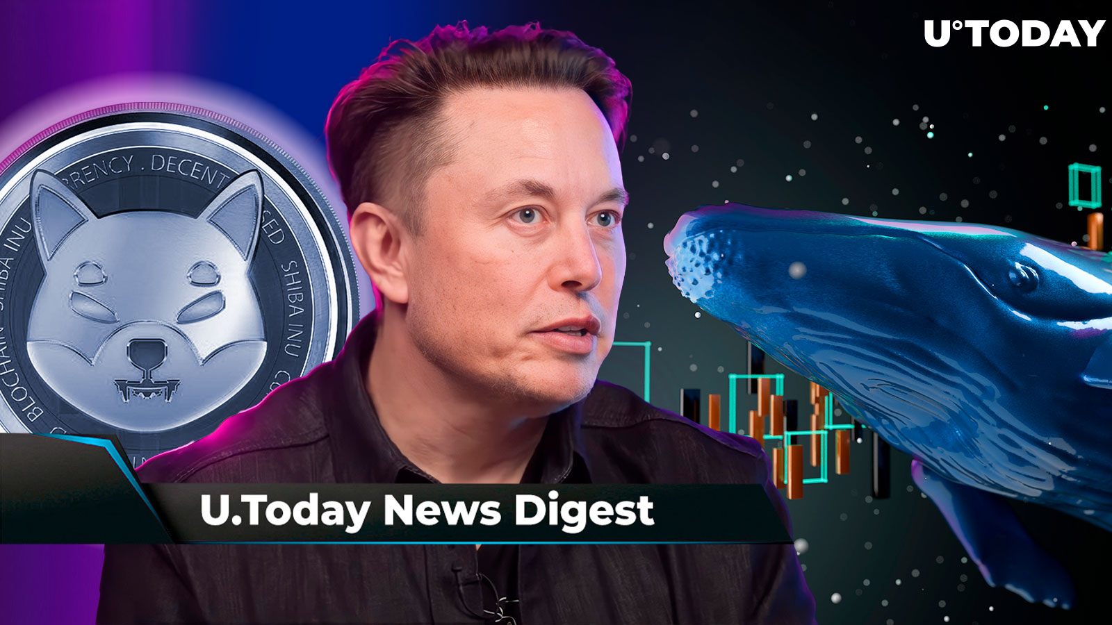 Elon Musk Makes Unexpected Shiba Inu Mention, New Indicator Shows SHIB Popular Among New Investors, Whales Move 49 Billion SHIB: Crypto News Digest by U.Today