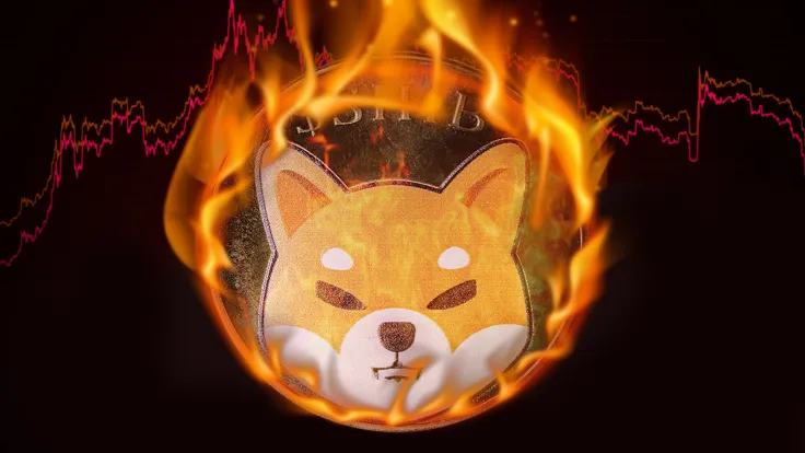 Shiba Inu (SHIB) Burn Rate Doubles on Weekend: Massive Surge Incoming?