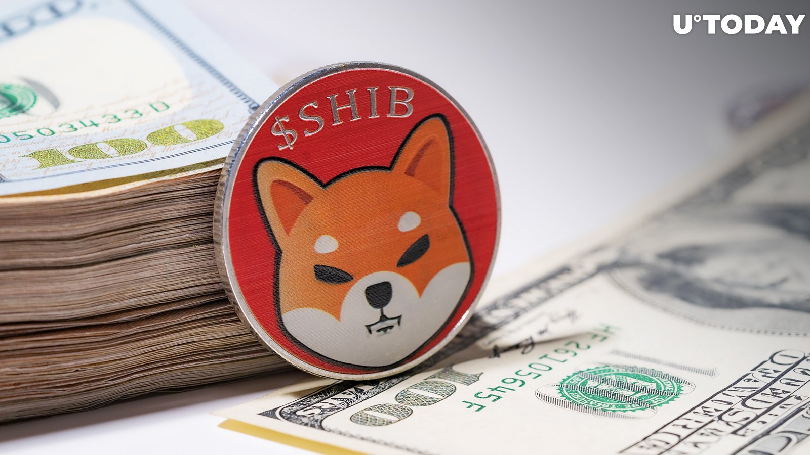 Large Shiba Inu (SHIB) Transactions Stay High, but Here's Major Catch