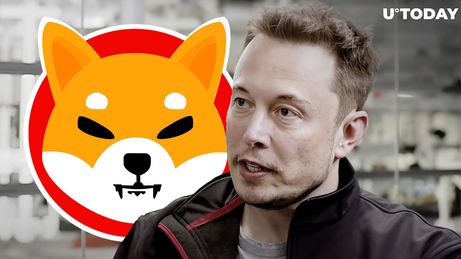 Elon Musk Makes Unexpected Shiba Inu Mention, Here's What Happened