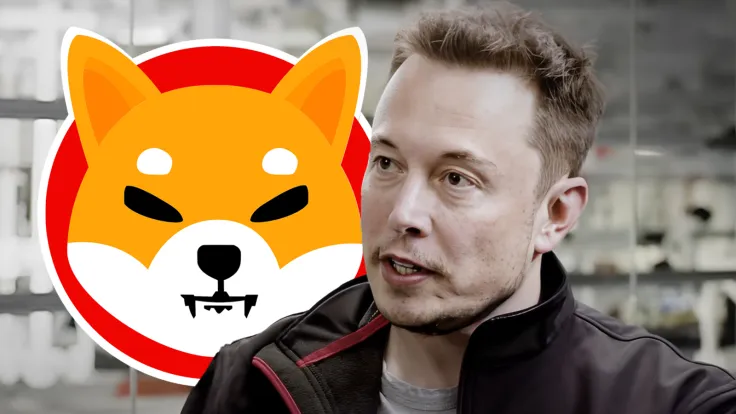 Elon Musk Makes Unexpected Shiba Inu Mention, Here's What Happened