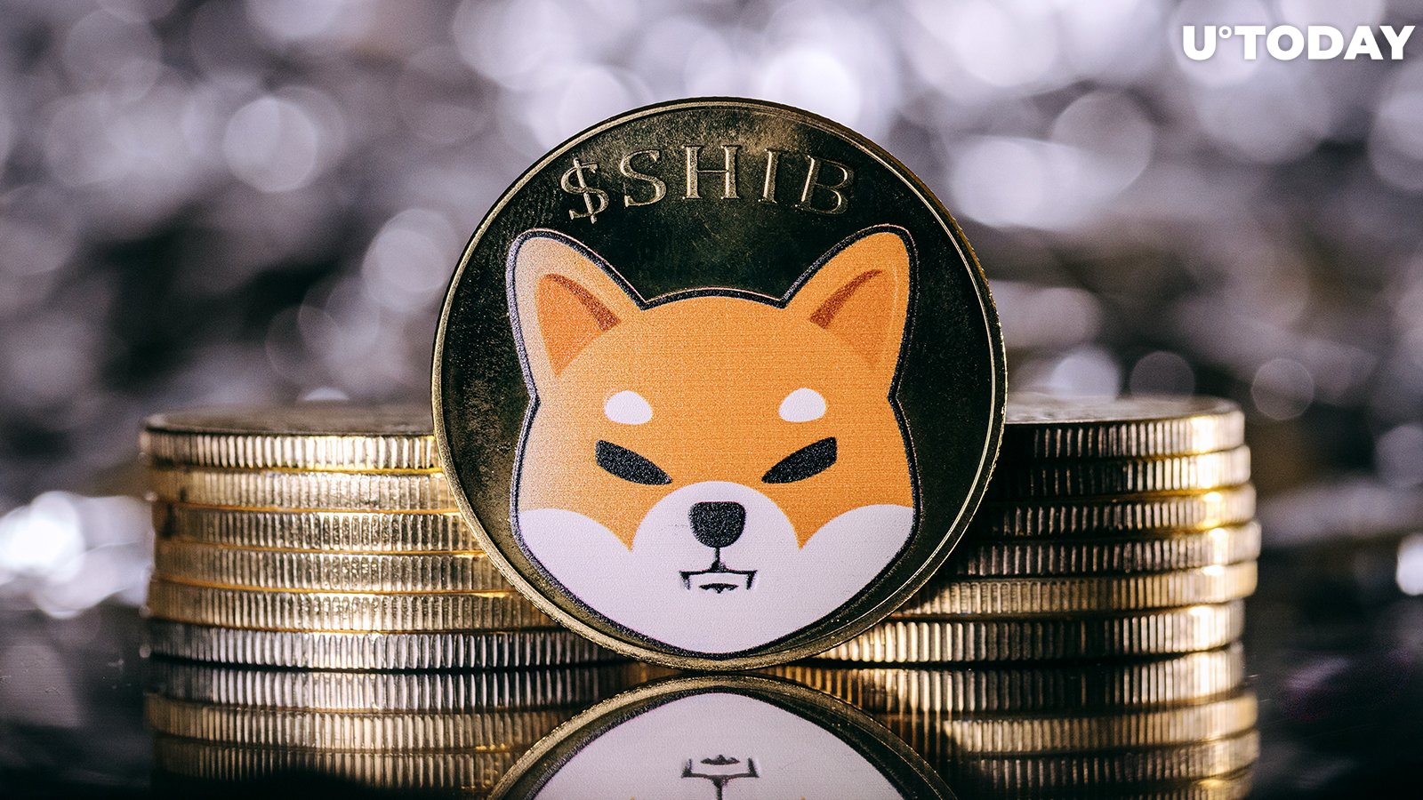 Shiba Inu Suddenly Surges 5%, Outperforms Other Major Altcoins