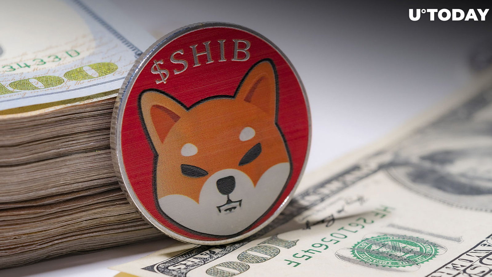 Shiba Inu (SHIB) Chances to Hit $0.000009 Are Solid: Pity Resistance Level