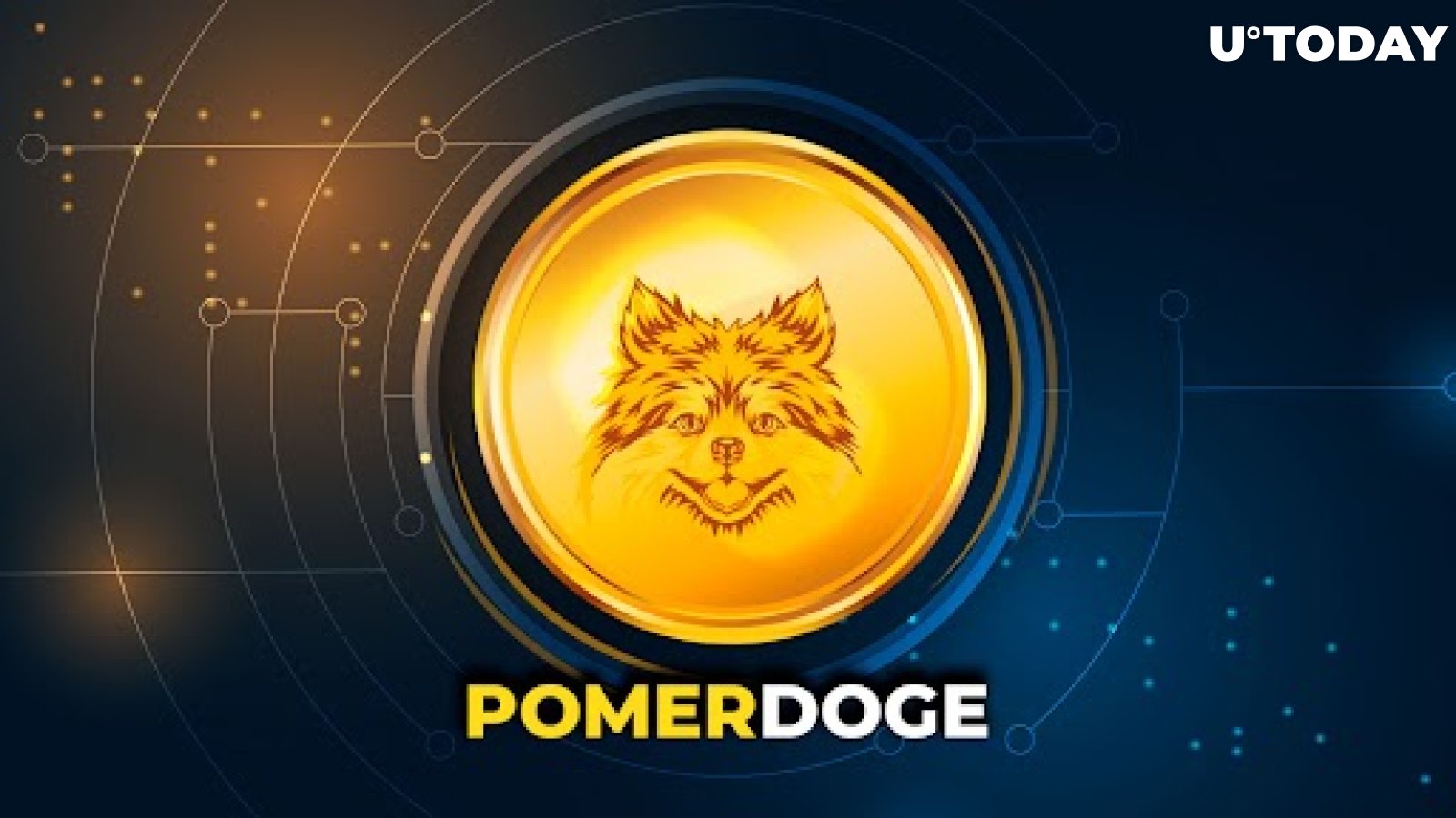 Pomerdoge (POMD) Pre-Sale Might be in Spotlight in Q3, 2023 while Stacks (STX) and Stellar (XLM) Altcoins Communities Keep Confidence