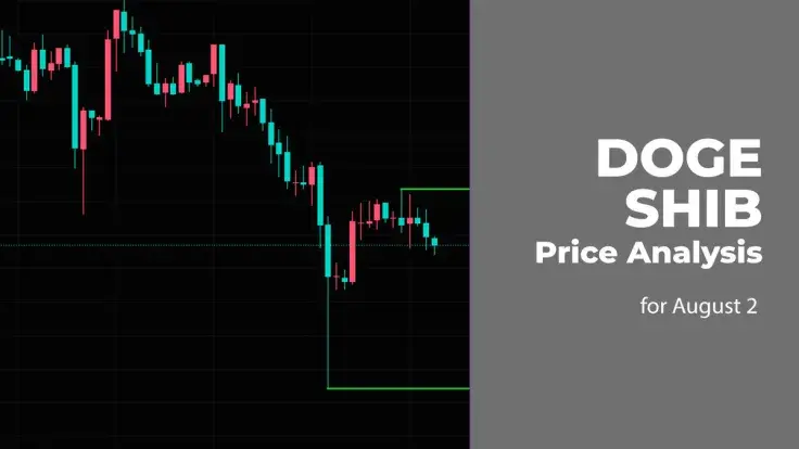 DOGE and SHIB Price Analysis for August 2