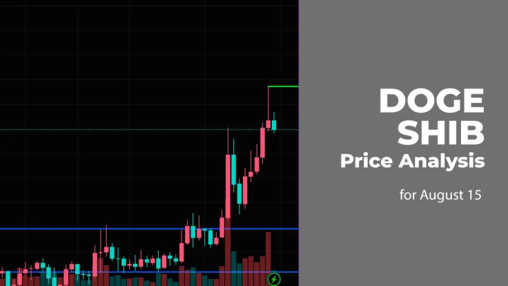 DOGE and SHIB Price Analysis for August 15