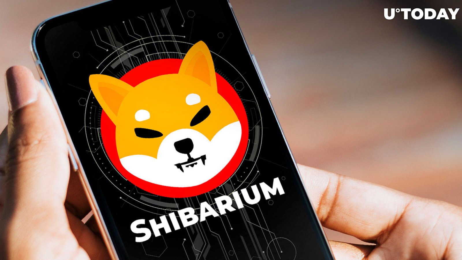 Shibarium Hits Rocky Road as Transactions Get Stuck
