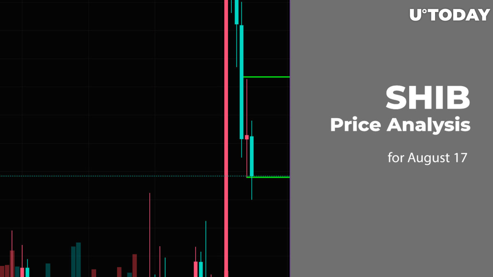 SHIB Price Analysis for August 17