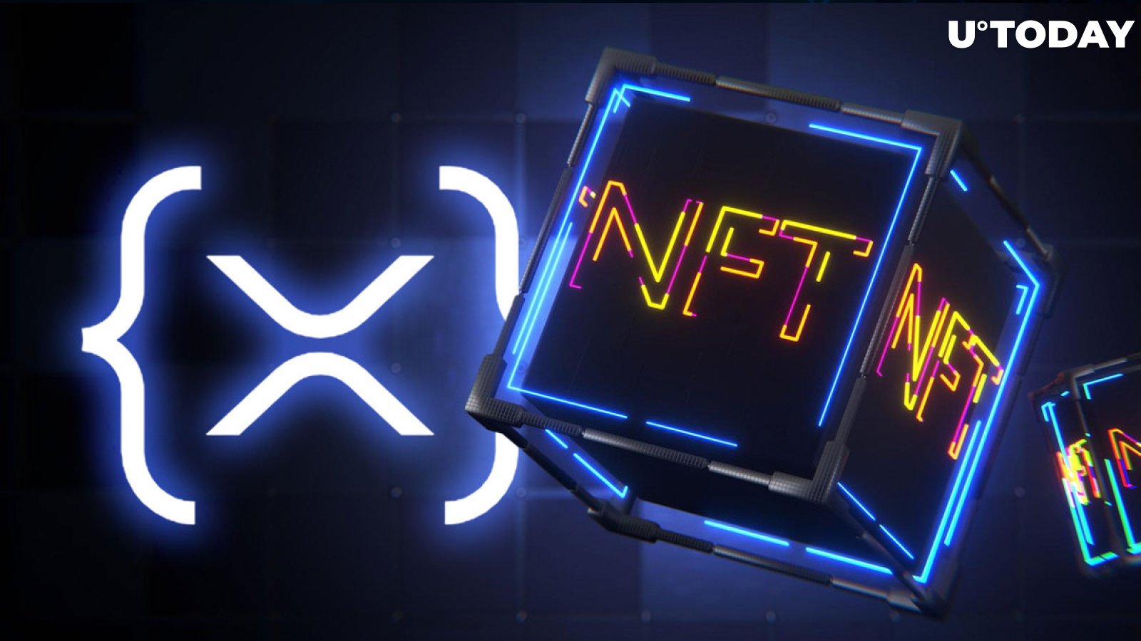 XRPL NFT Creators Have Their Rights Protected, Here's Why