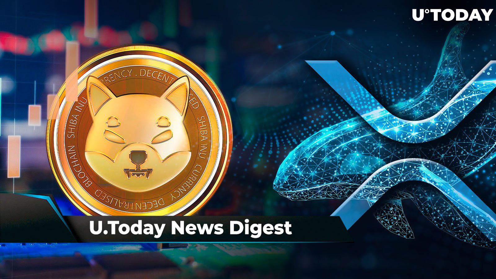 SHIB Official Shares One Mistake With Shibarium Made by Shytoshi Kusama, XRP Whales Accumulate Billions of Tokens, SHIB Sheds 100 Million Tokens: Crypto News Digest by U.Today