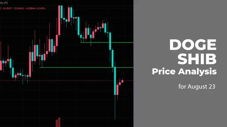DOGE and SHIB Price Analysis for August 23
