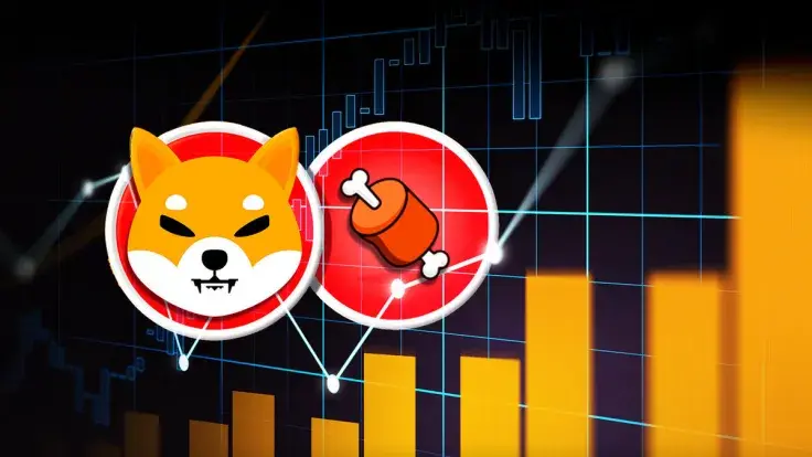 BONE up 15% as Bulls Focus on These Three Key Reasons