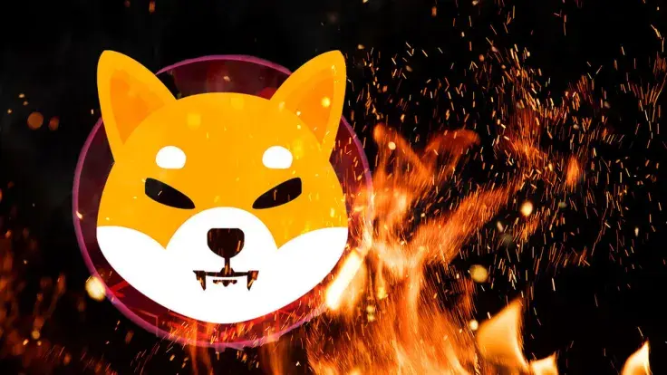 Millions of SHIB Set Ablaze, Will Price Recover?