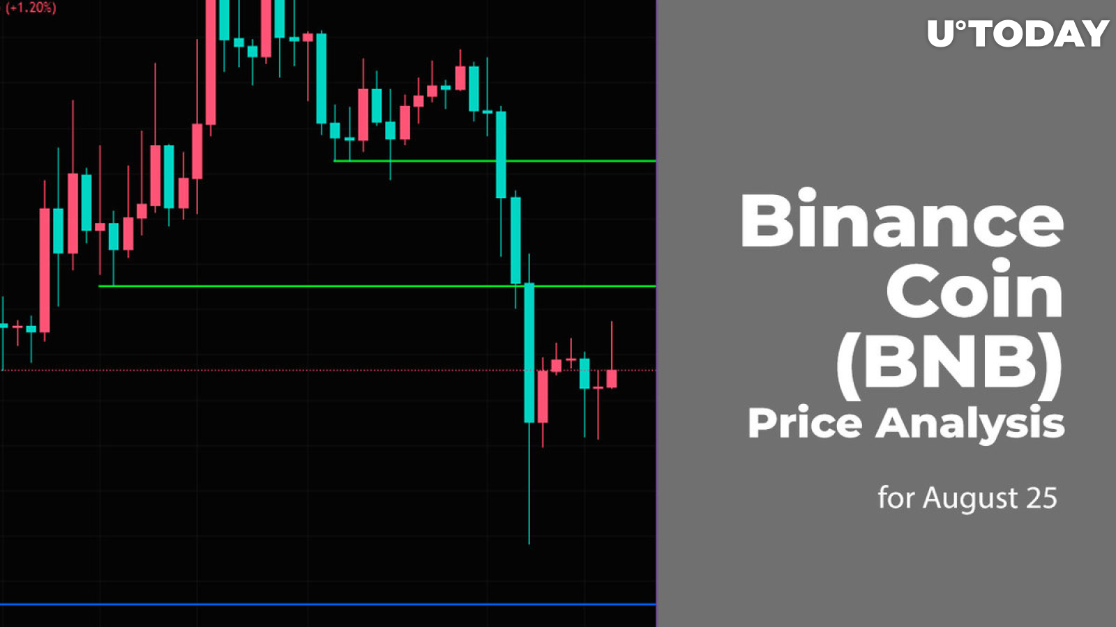 Binance Coin (BNB) Price Analysis for August 25