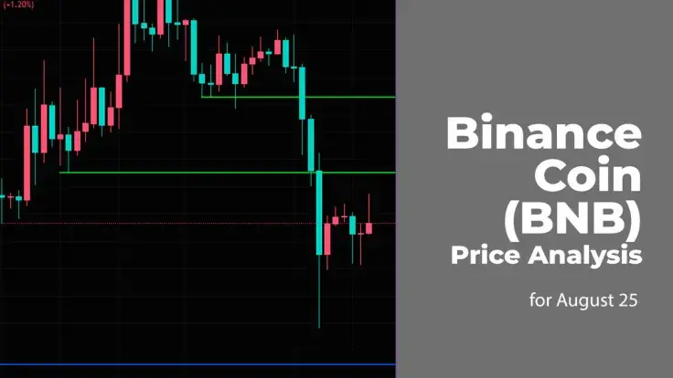 Binance Coin (BNB) Price Analysis for August 25