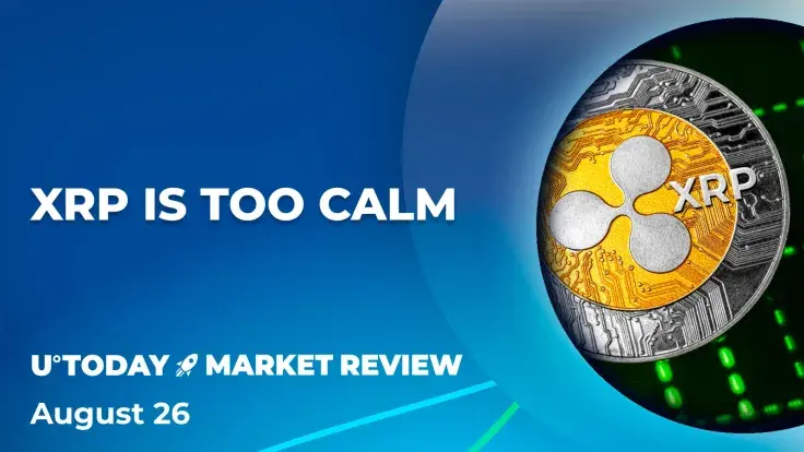 XRP's Suspicious Calmness Could Be Crucial Signal