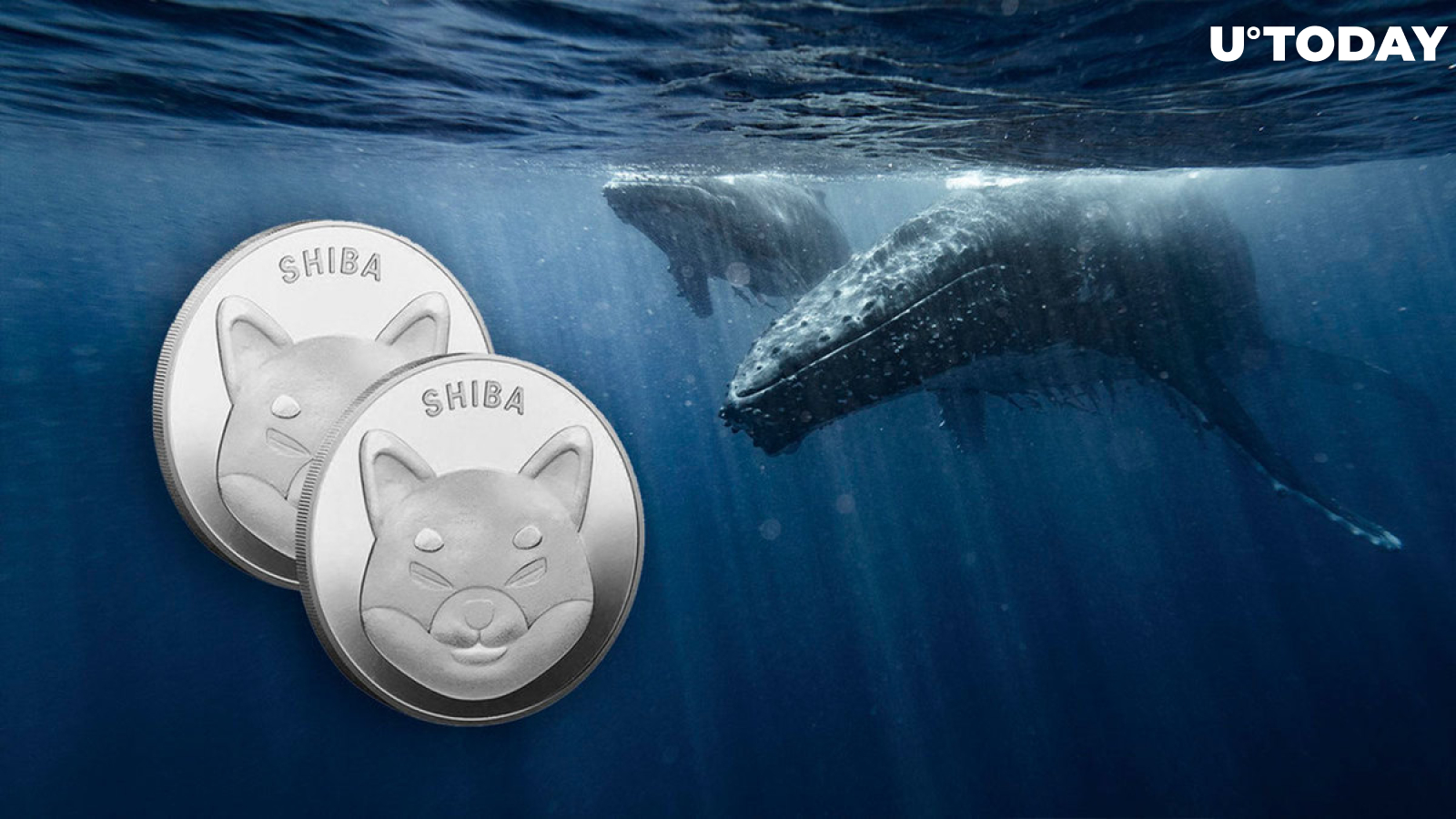Did Shiba Inu (SHIB) Whales Go Extinct? Bizarre Data Raises Questions