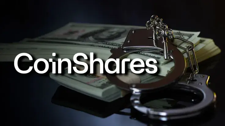 'Drop in the Ocean': CoinShares on Crypto Usage in Financial Crime