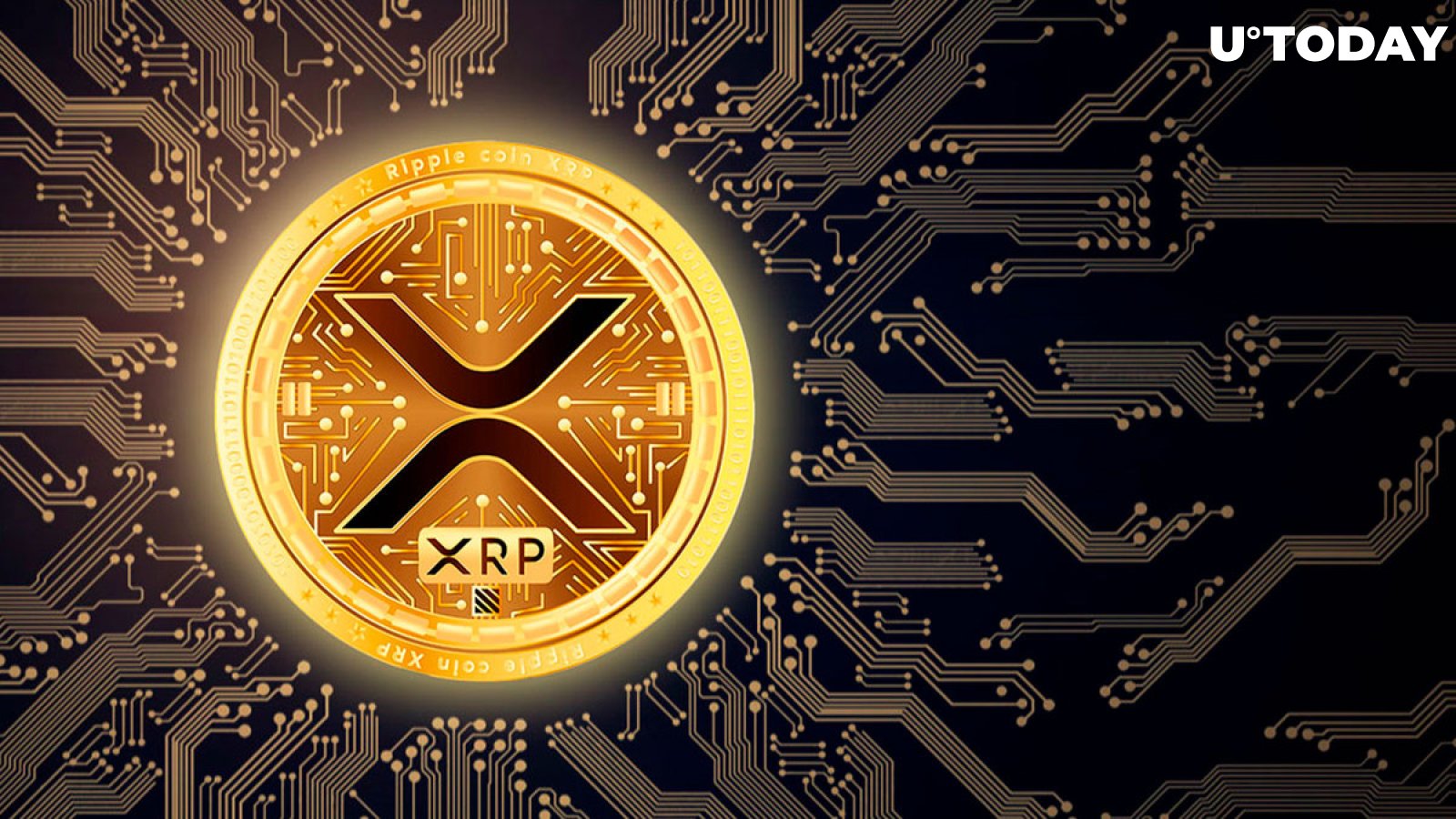 XRP Community Should Know This as Airdrop Snapshot Date Nears
